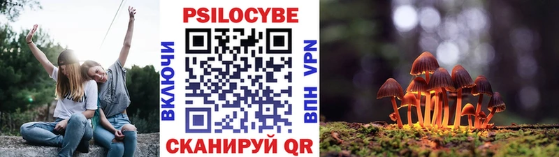 Галлюциногенные грибы Psilocybine cubensis  мориарти клад  Рудня  продажа наркотиков 